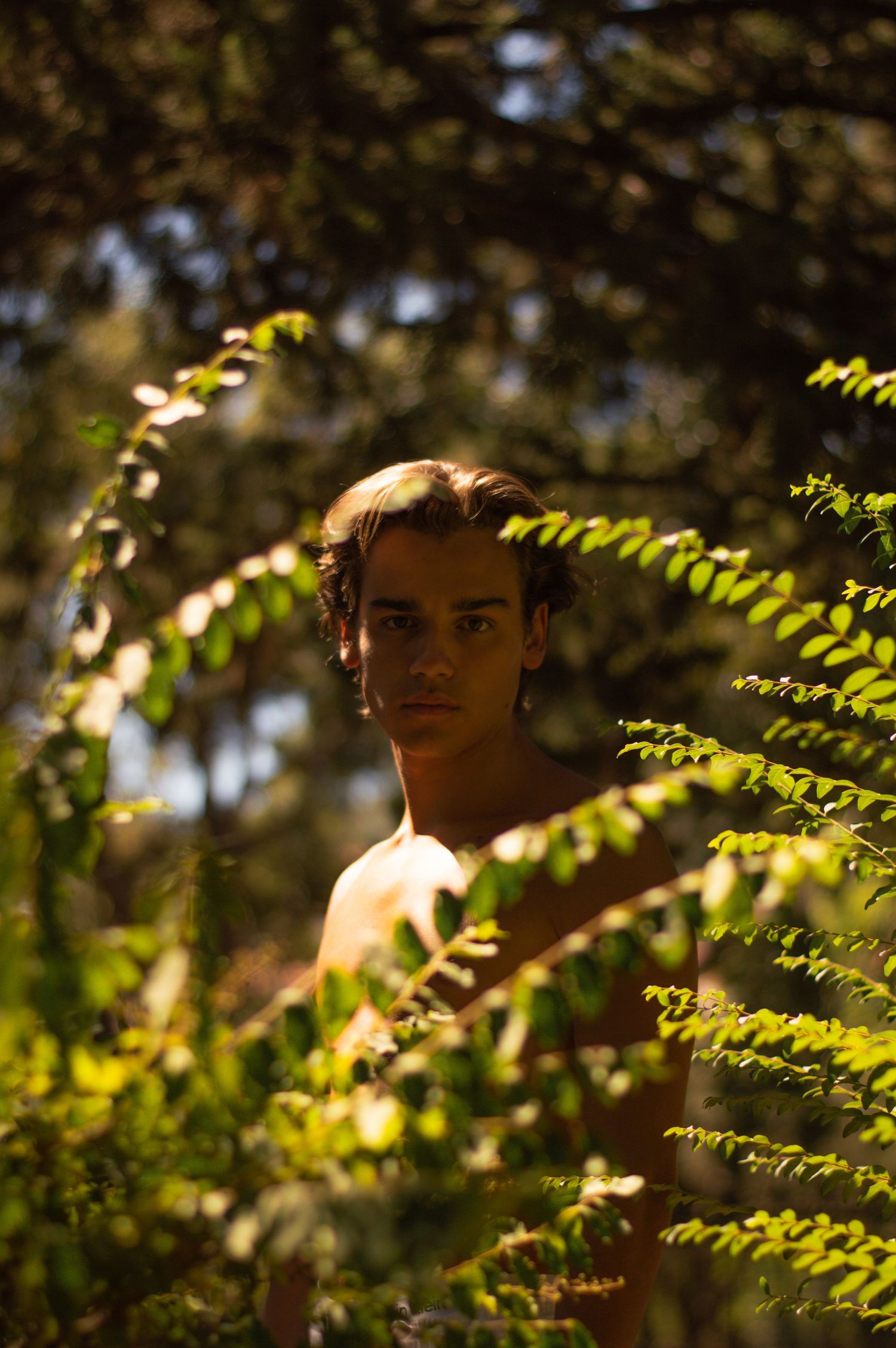 Portrait through leaves and branches with natural sunlight creating dappled shadows.