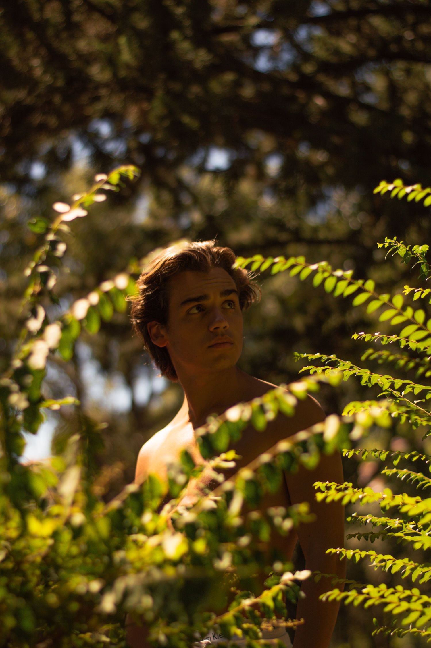 Artistic portrait through foliage with sunlight creating natural bokeh effect.