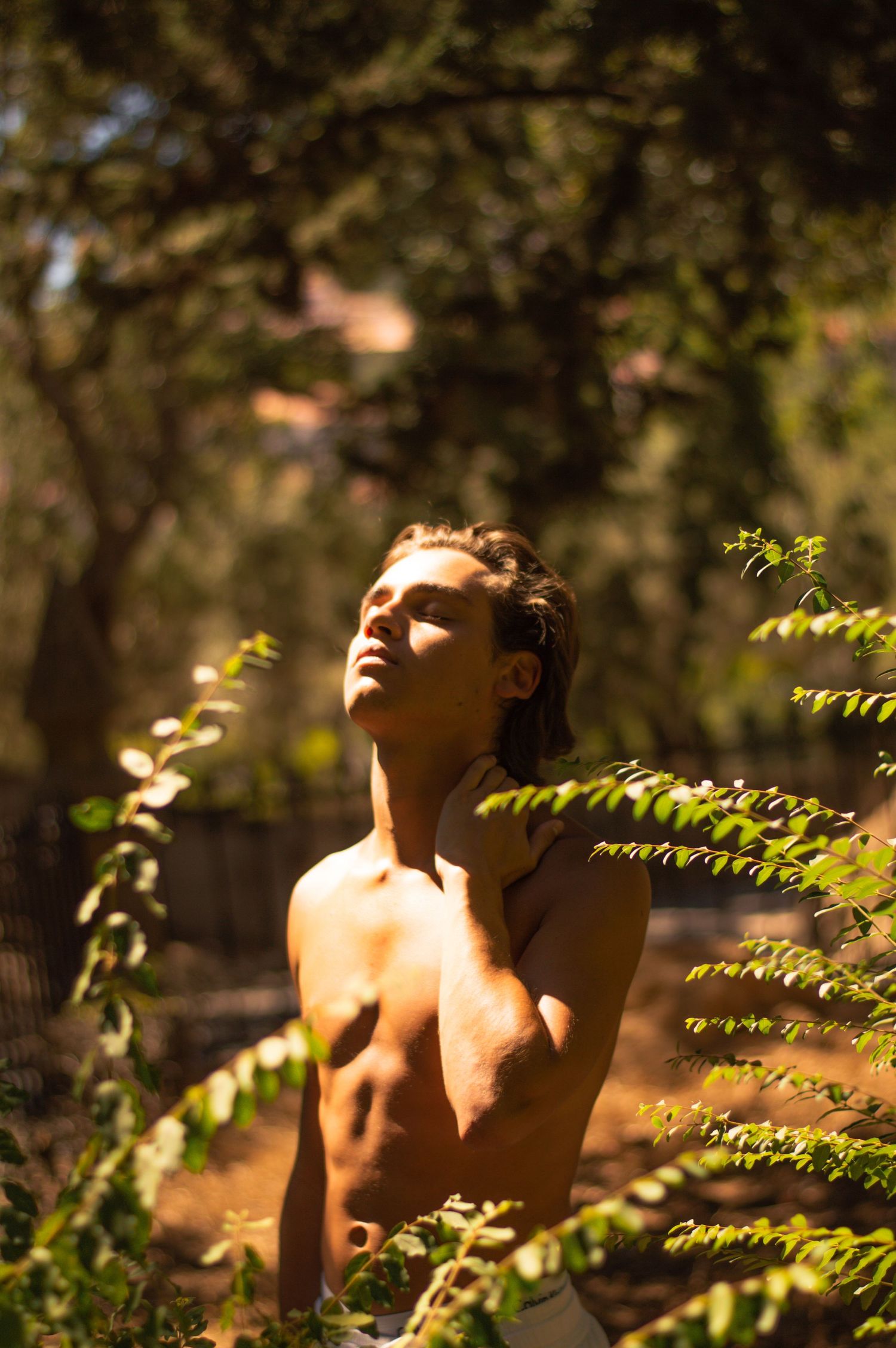 Artistic nature portrait with sunlit leaves and branches creating natural framing.