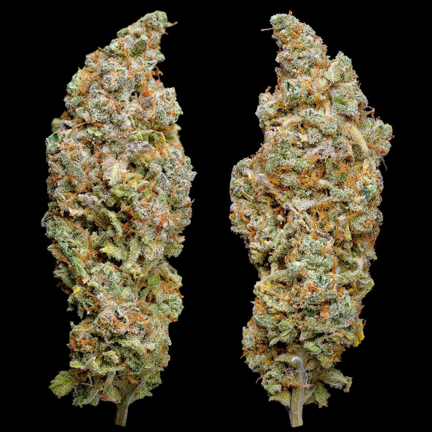CannaPrints.ca | Fine Art Cannabis Prints and Custom Wall Art
