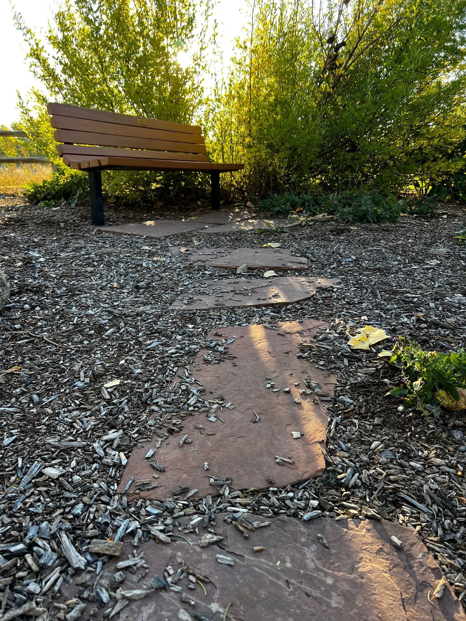 Picture of a park in fall