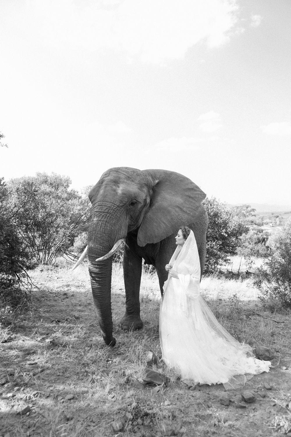 A woman wearing her Silver Swallow Design couture dress standing with an African elephant.