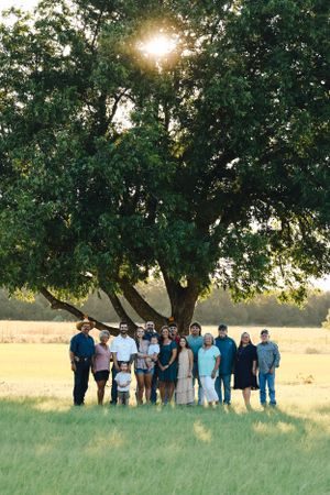Large group photo beneath sprawling tree at sunset in rural field.