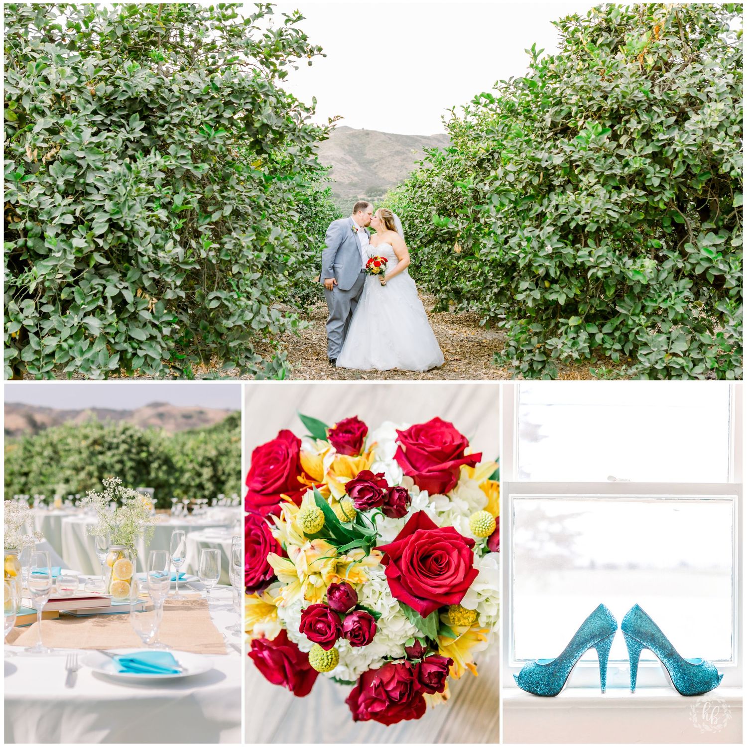 limoneira ranch wedding photos santa paula wedding wedding photographer