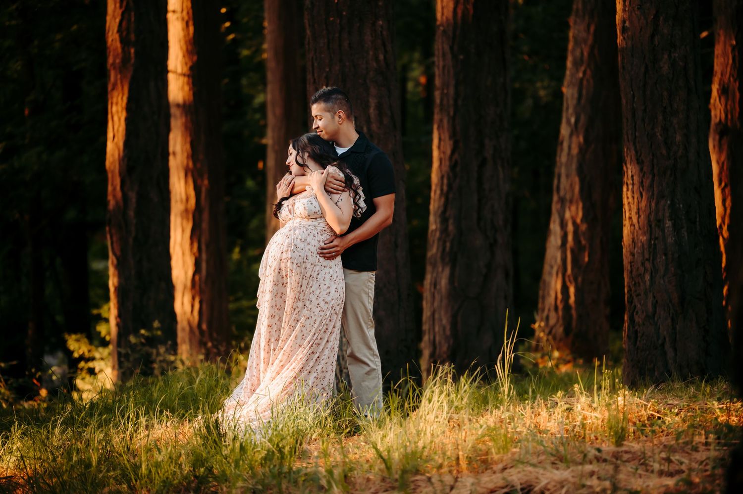 Pine forest maternity session with warm sunset light streaming through trees.