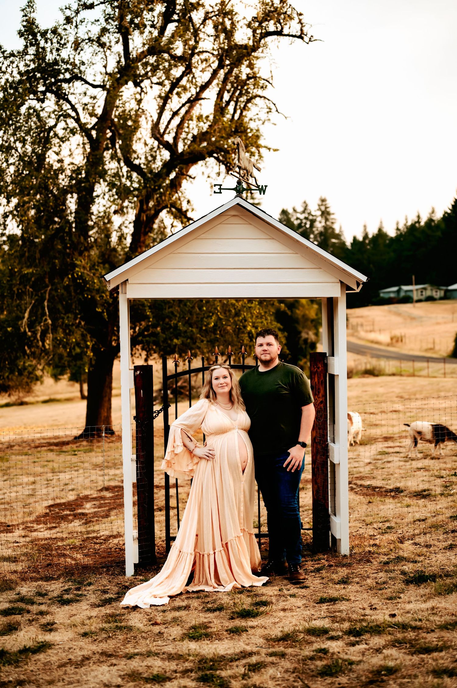 Outdoor portrait session at a rustic white gazebo surrounded by golden grass and trees at sunset.