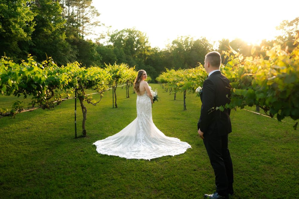 Bride and groom walking through vineyard, South Carolina wedding portrait