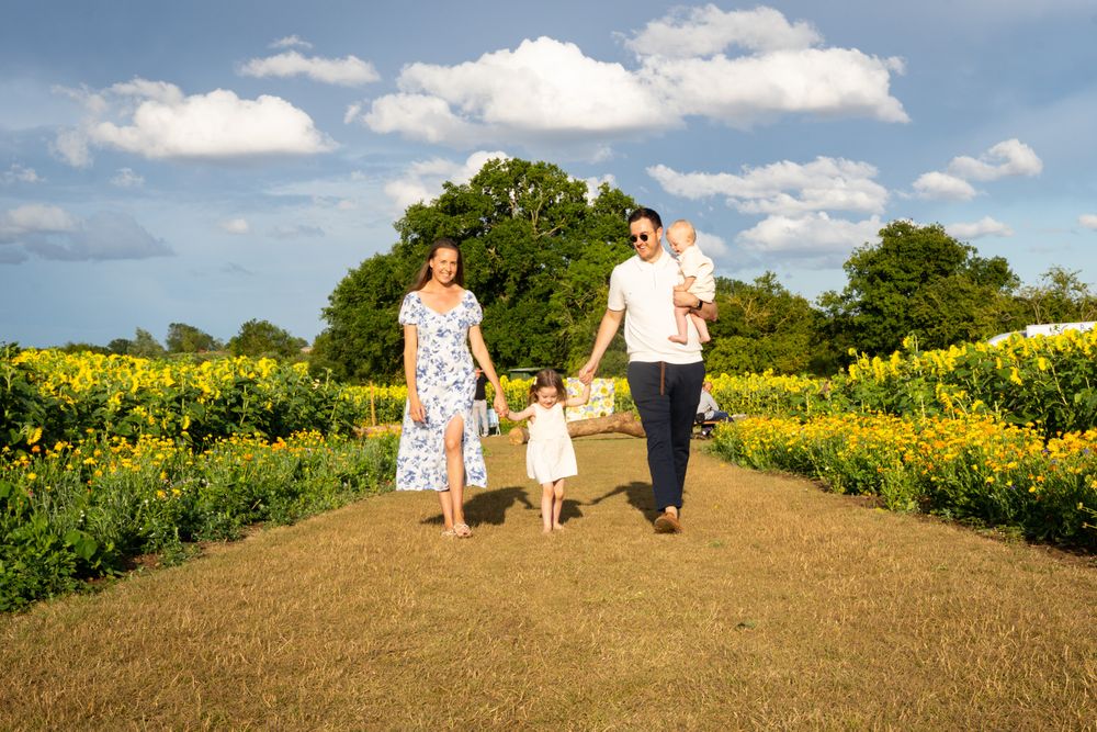 Essex Sunflower Photoshoot