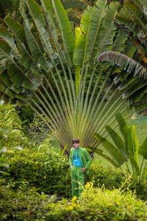 Figure in green suit poses against dramatic fan palm tree leaves.