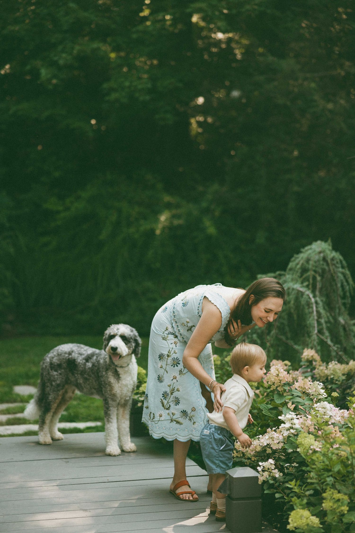 A woman in a floral dress helps a toddler explore garden flowers on a deck, with a fluffy gray dog standing nearby.