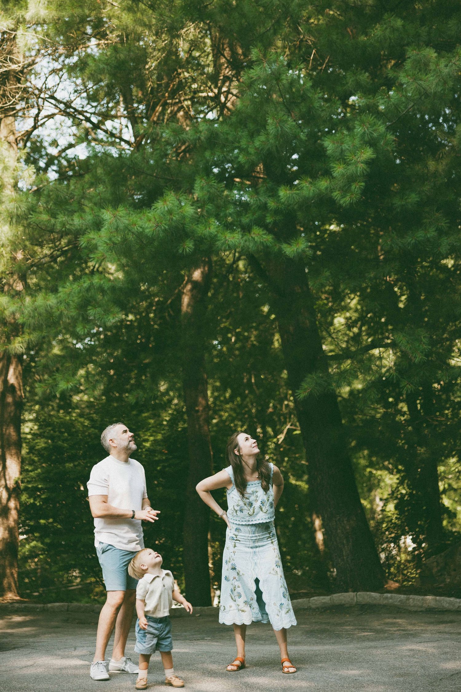 A young family with a toddler gazes up at tall green trees in a sunny park, dressed in casual summer outfits.