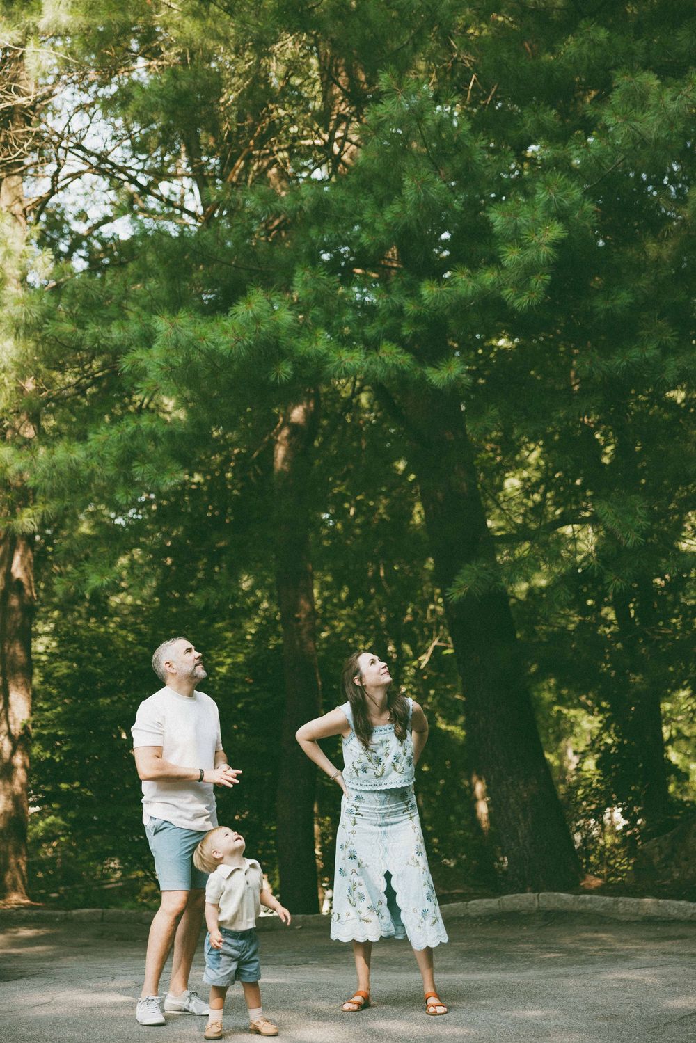 A young family with a toddler gazes up at tall green trees in a sunny park, dressed in casual summer outfits.
