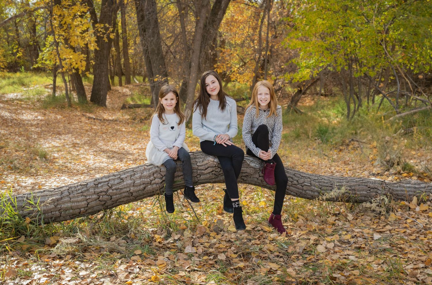 three young girls sitting on a fallen log, surrounded by autumn trees.Family lifestyle session in Alberta by Creation Photography