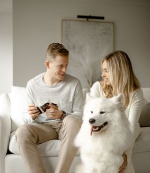 Couple on white couch with fluffy white Samoyed dog looking at ultrasound photos.