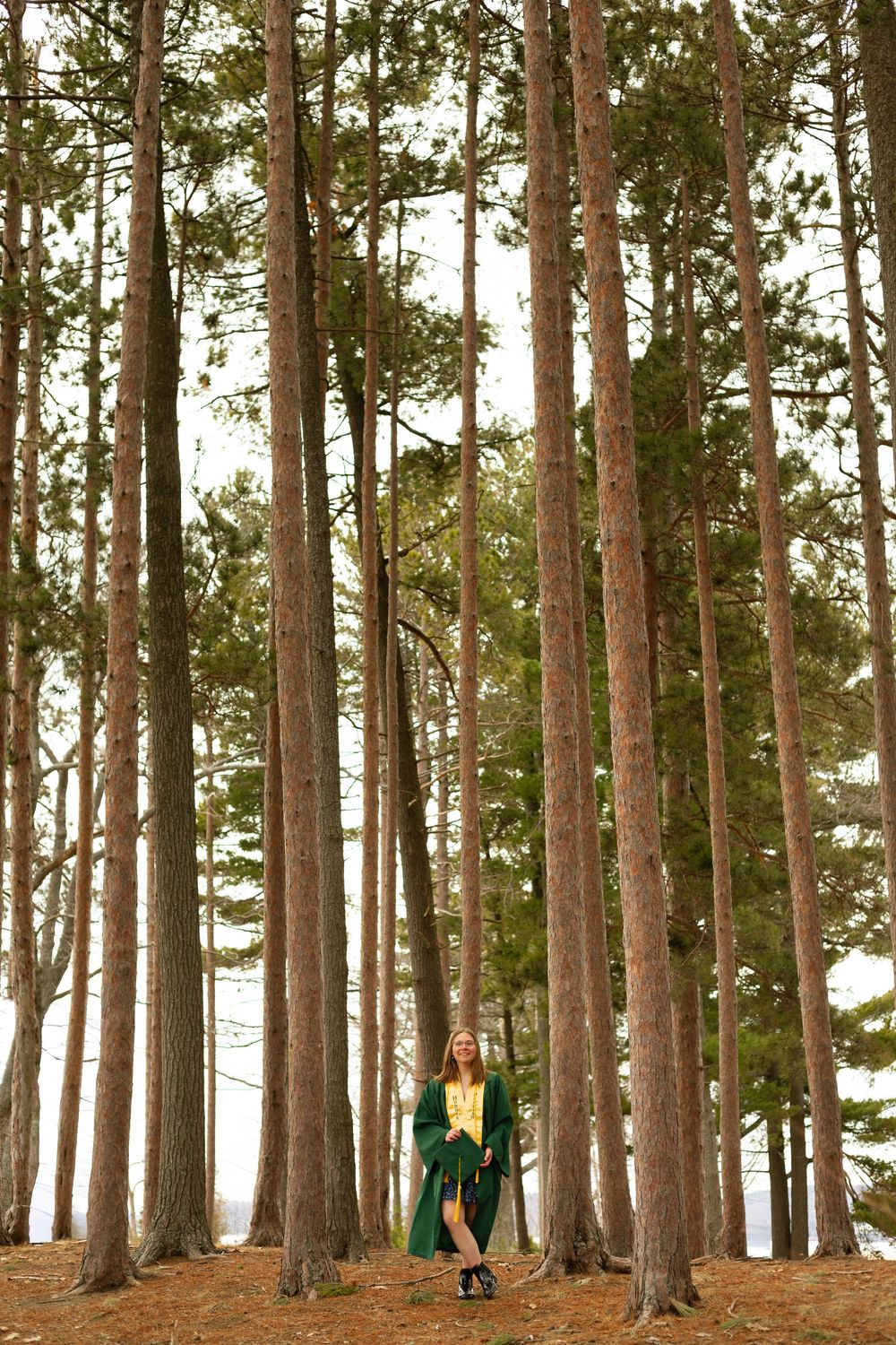 Graduate in green cap and gown standing among tall pine trees in a forest setting.