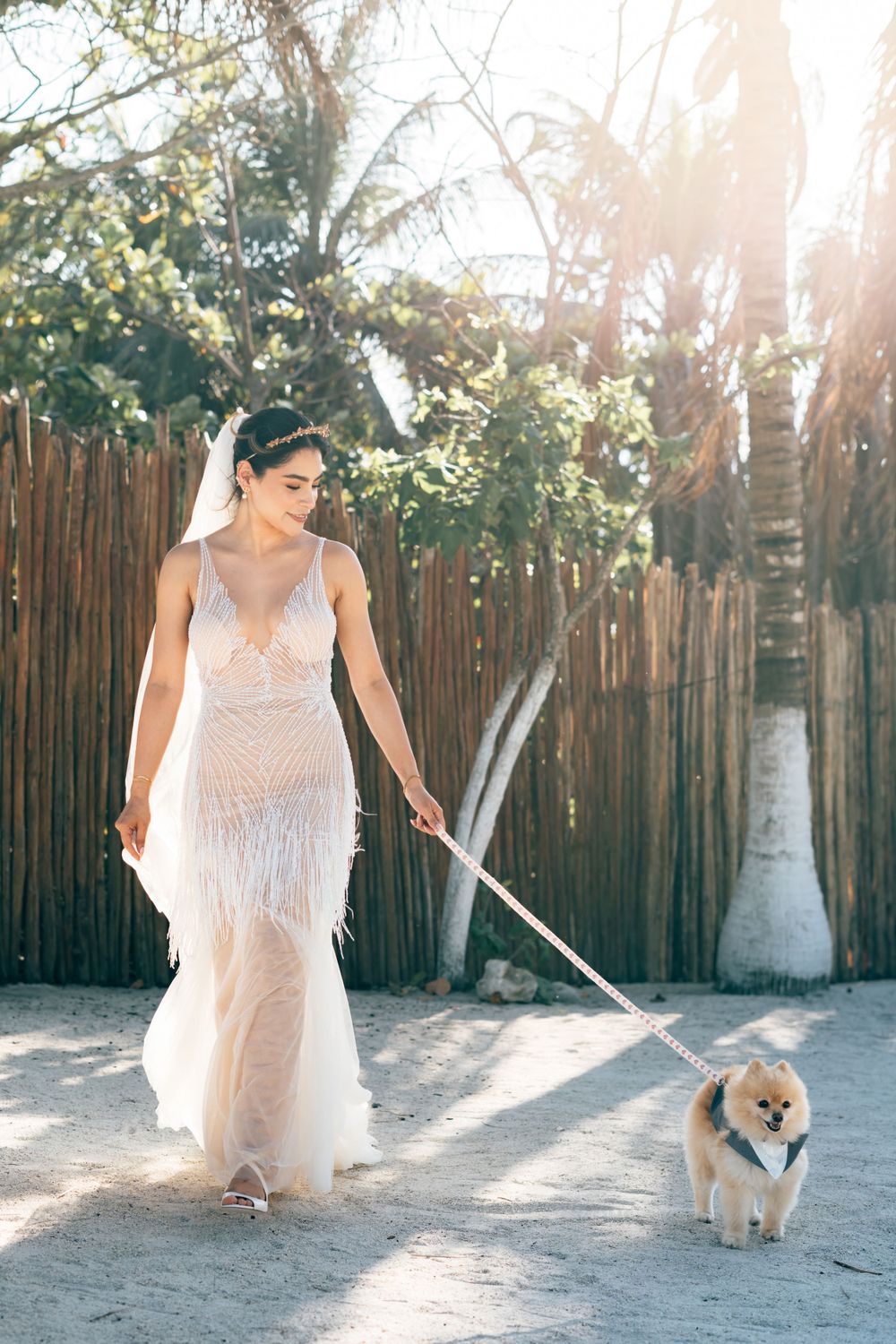 A fluffy Pomeranian walks alongside someone in a flowing white dress in sunlit garden, Blue Venado, Mango Weddings.