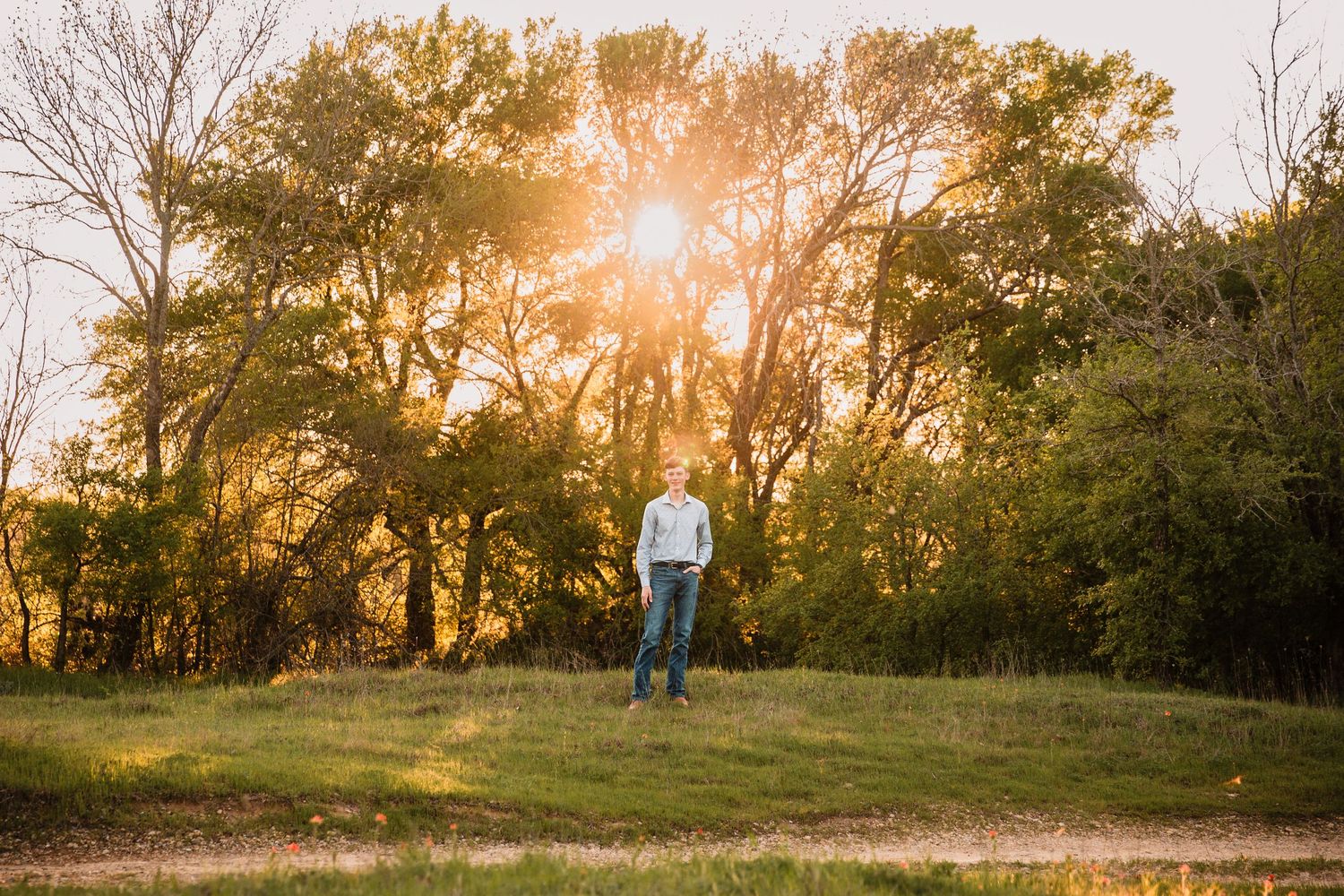 Silhouette of senior boy standing in field during golden hour with sunburst through trees.