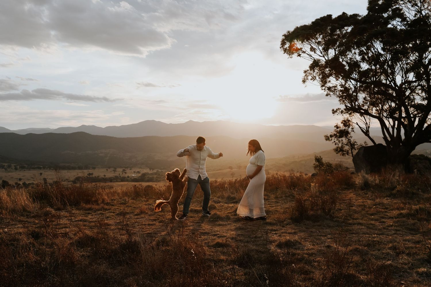 Couple dancing with their dog at golden hour in a scenic mountain field with warm sunset light.