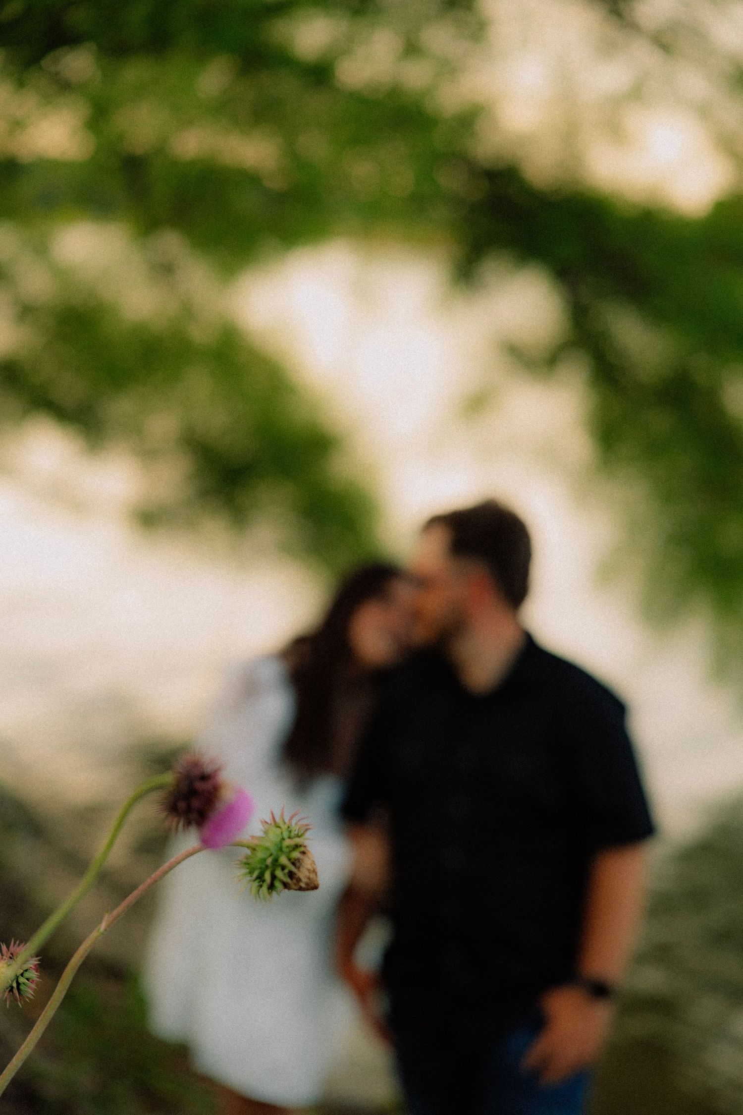 Book a Photo session with Photographer Angelea Rose Photography Servicing Kansas City & Springfield, MO