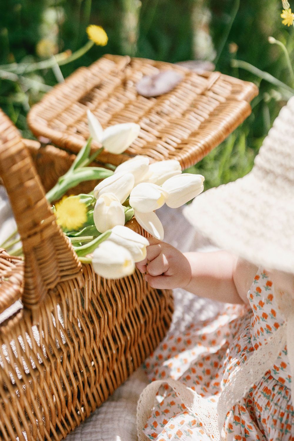 White tulips resting on wicker picnic basket with polka dot dress fabric visible.