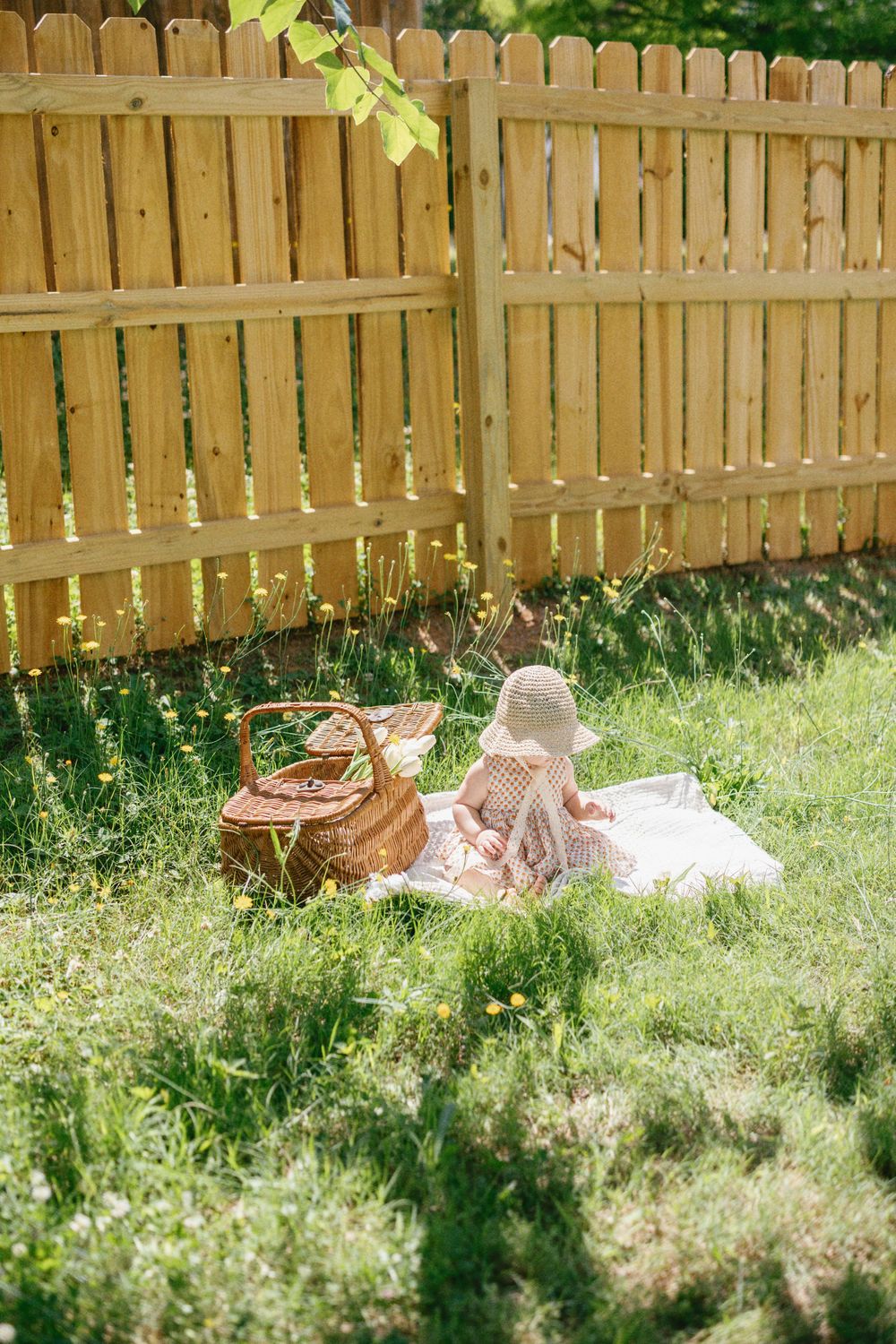 Garden picnic scene with wicker basket and blanket near wooden fence in dappled sunlight.