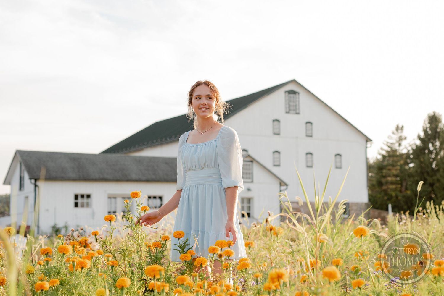 A flowing blue dress contrasts beautifully with a field of orange wildflowers near a rustic white barn.