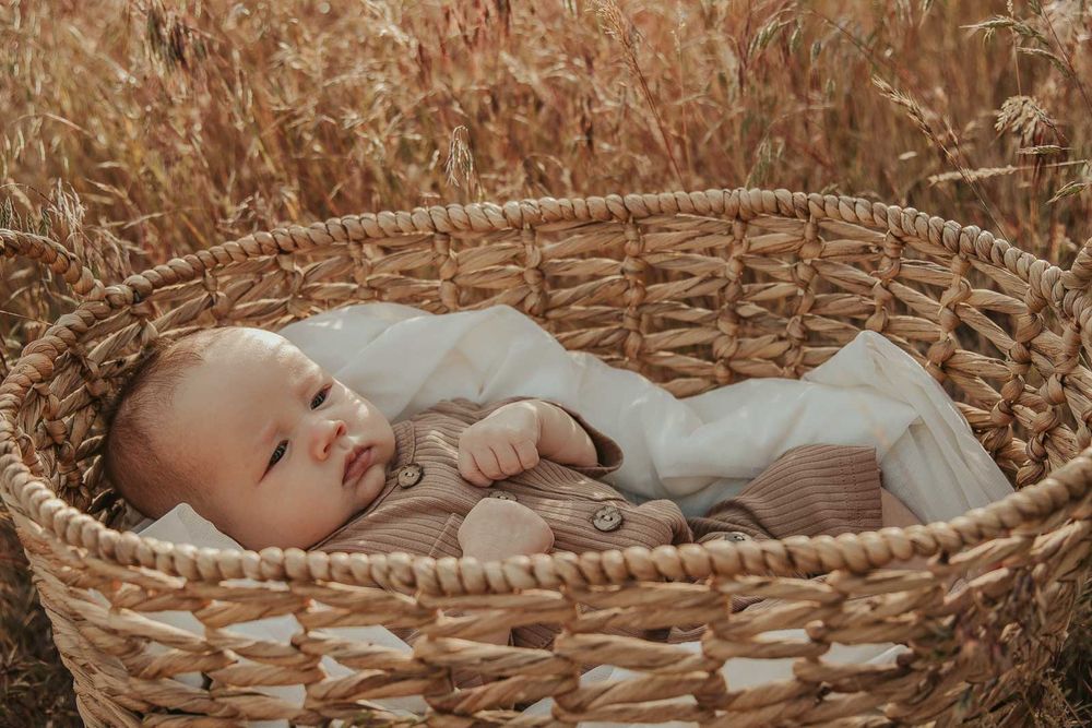 baby in a basket in an open field at golden hour with a spokane family photographer