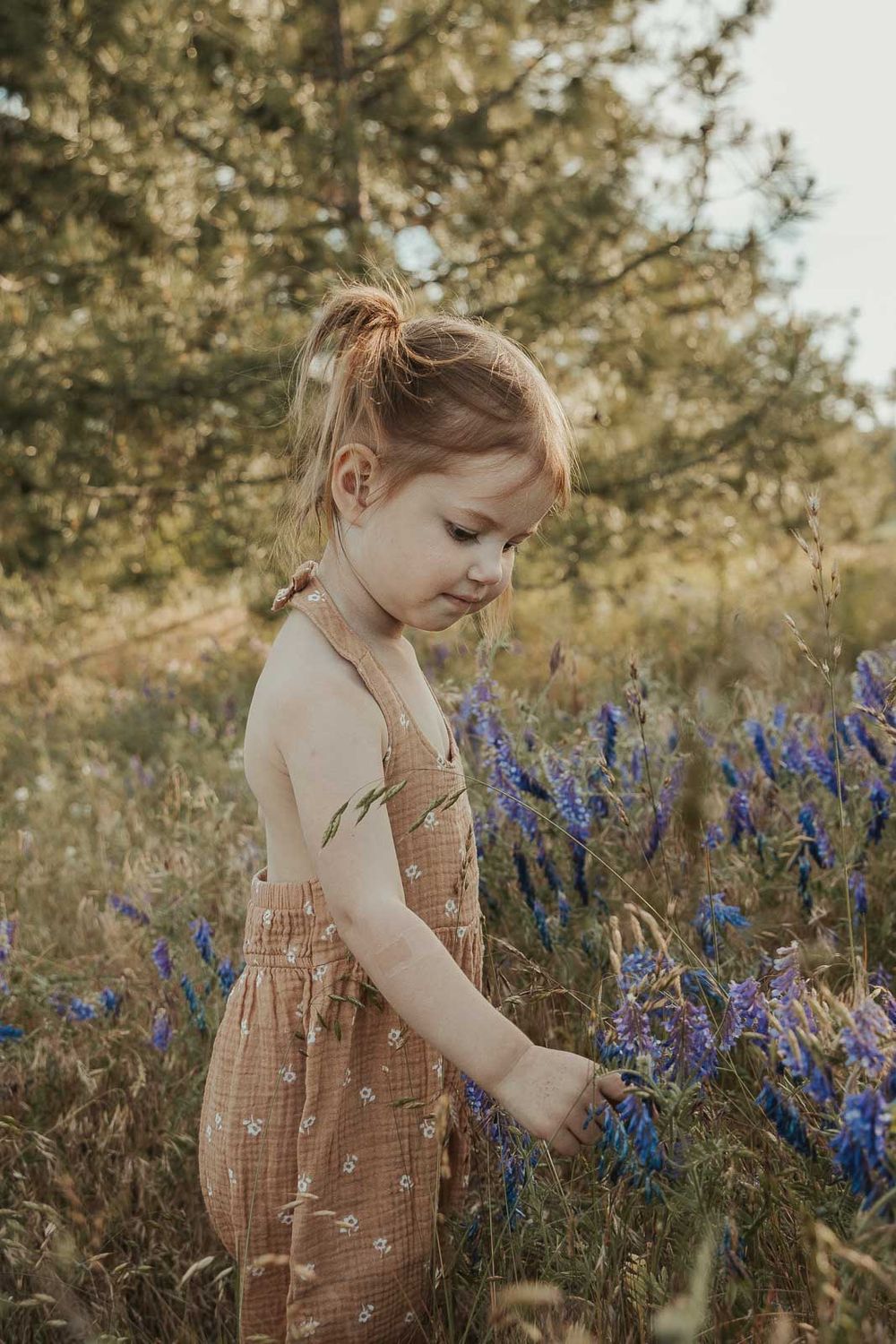 little red haired girl in picking flowers in flower field at golden hour with a spokane family photographer