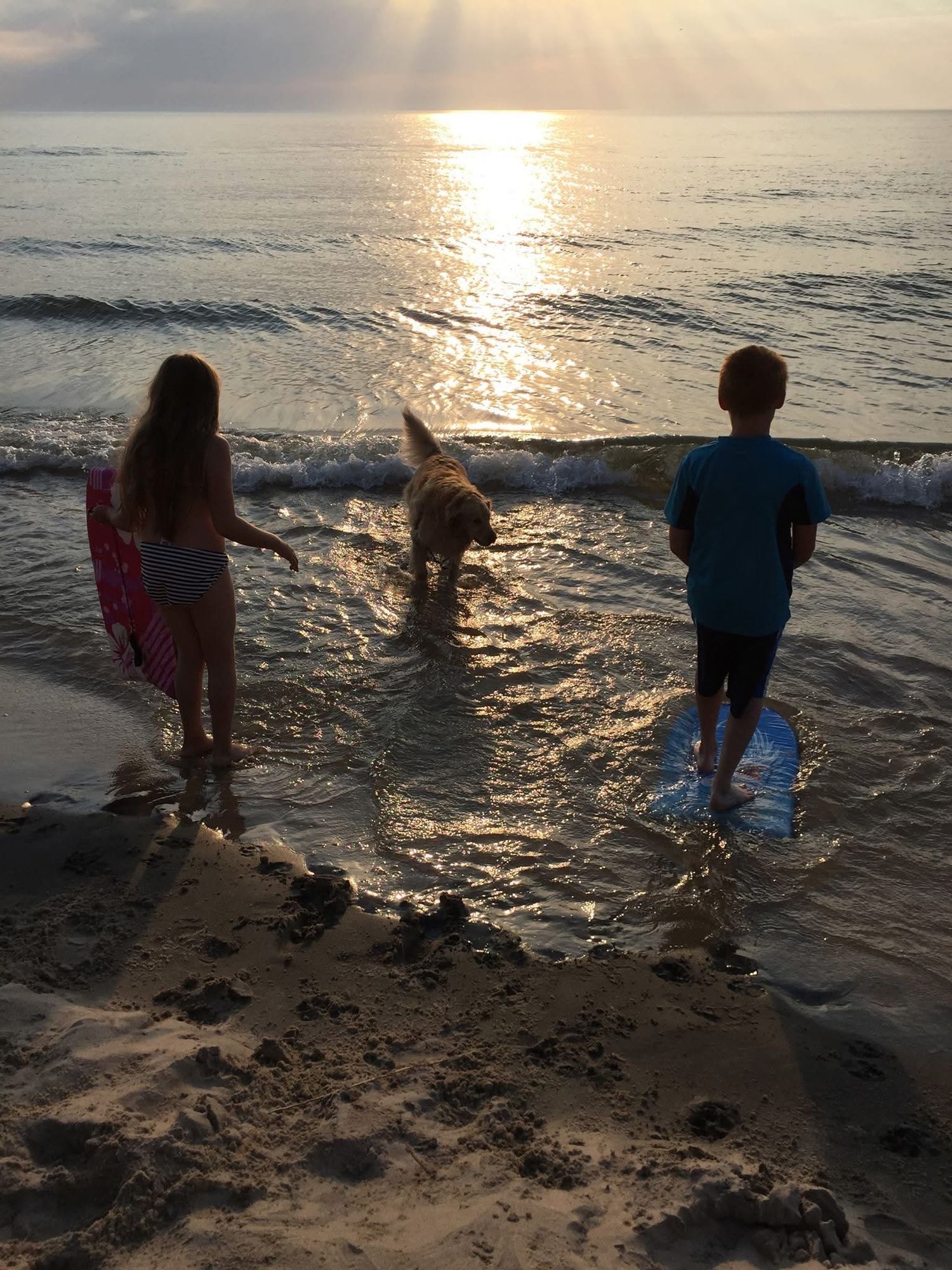 Silhouettes of children playing in the ocean surf at sunset along a sandy beach.