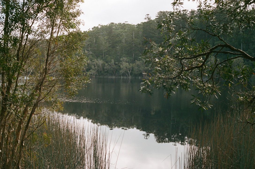 Tranquil lake reflection surrounded by autumn trees and tall reeds along shoreline.