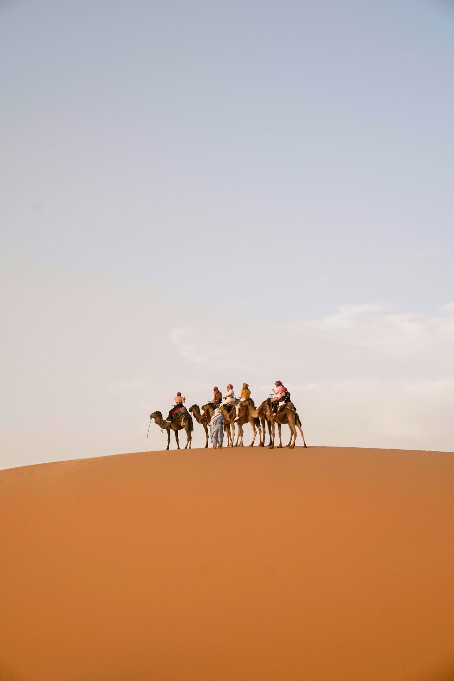 Silhouette of camel caravan crossing sand dune ridge at dusk.