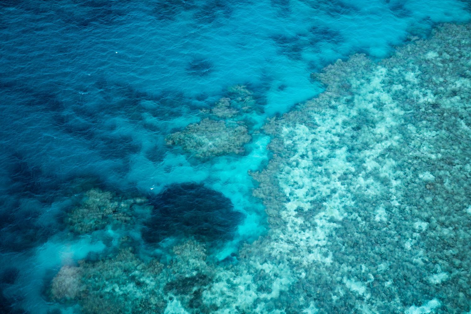 Underwater view of coral reef formations in crystal clear turquoise ocean waters.