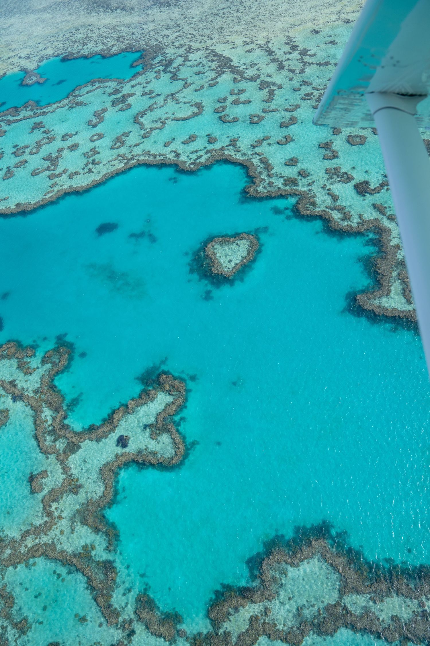 Heart-shaped coral reef formation in Great Barrier Reef seen from aerial perspective.