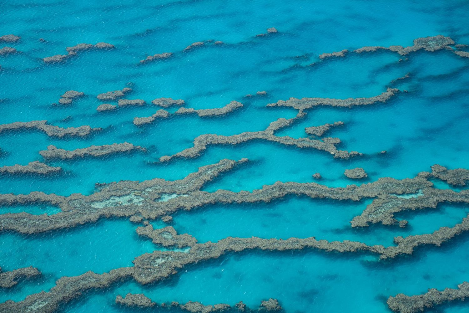 Aerial view of the Great Barrier Reef showing intricate coral patterns in turquoise blue waters.