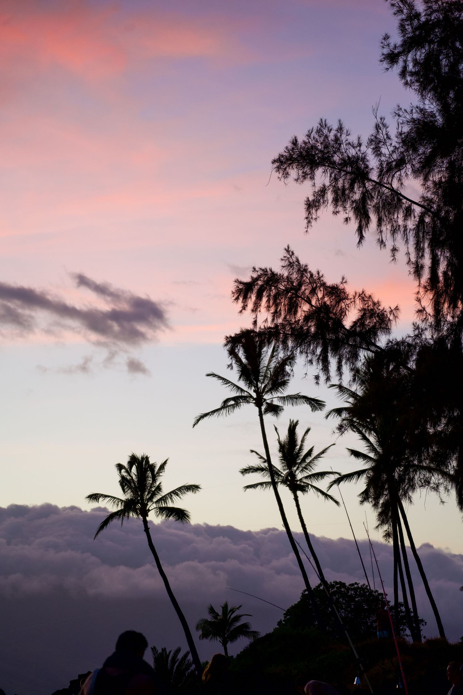 Palm trees silhouetted against a pink and purple sunset sky in Hawaii.