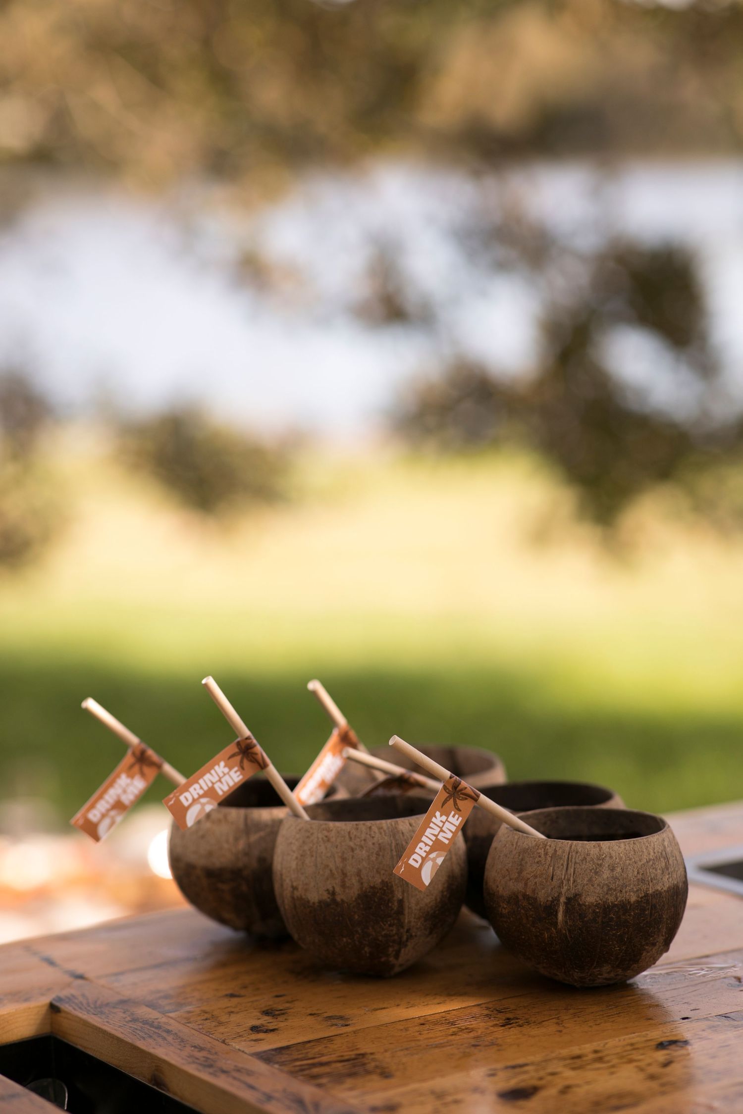 DECOR | EVENTS | BIRTHDAYS | SOIREE | OUTDOORS