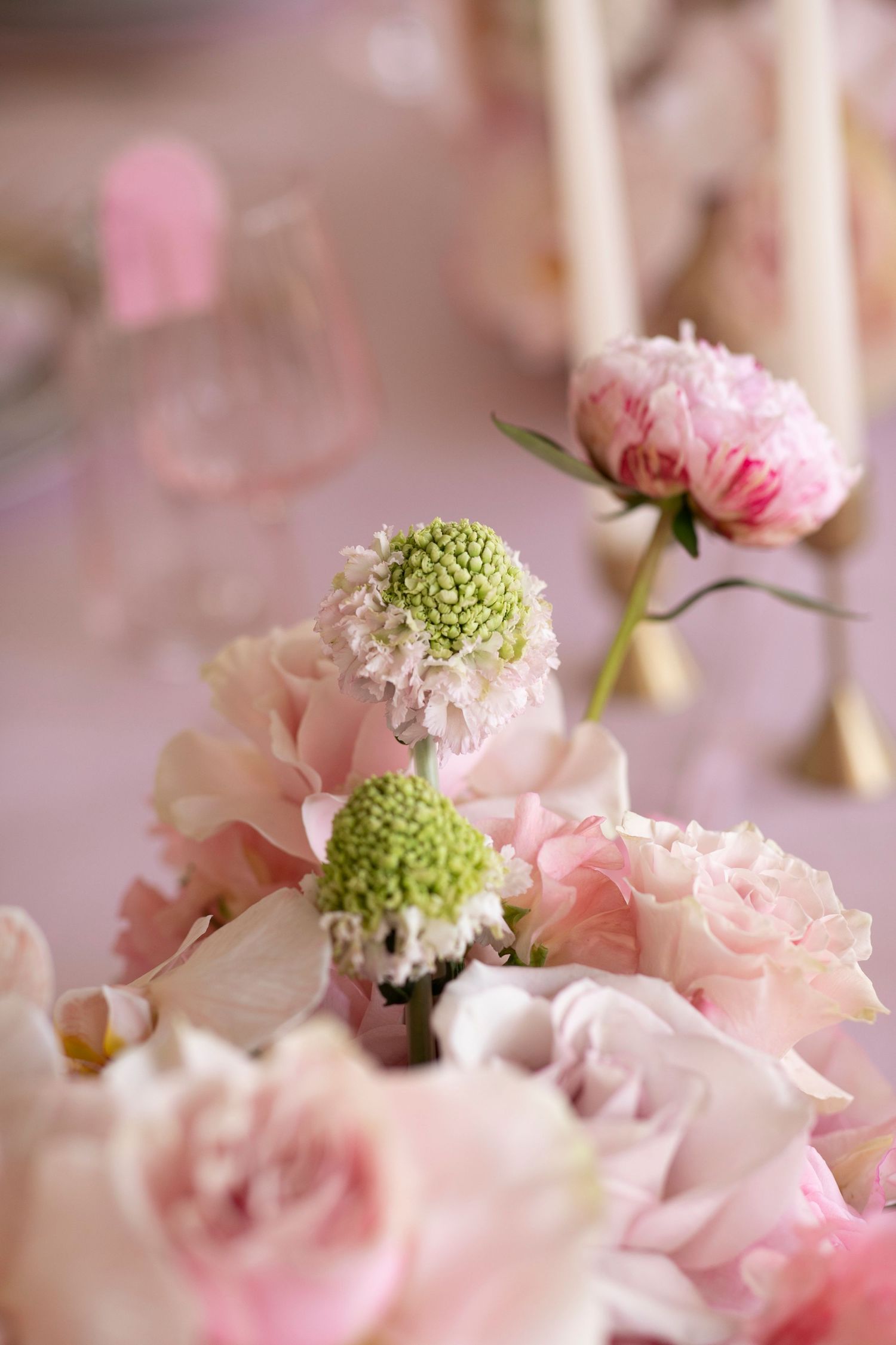 DECOR | EVENTS | BIRTHDAYS | SOIREE | FLOWERS