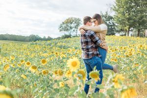 A couple embraces in a vibrant sunflower field on a sunny summer day.
