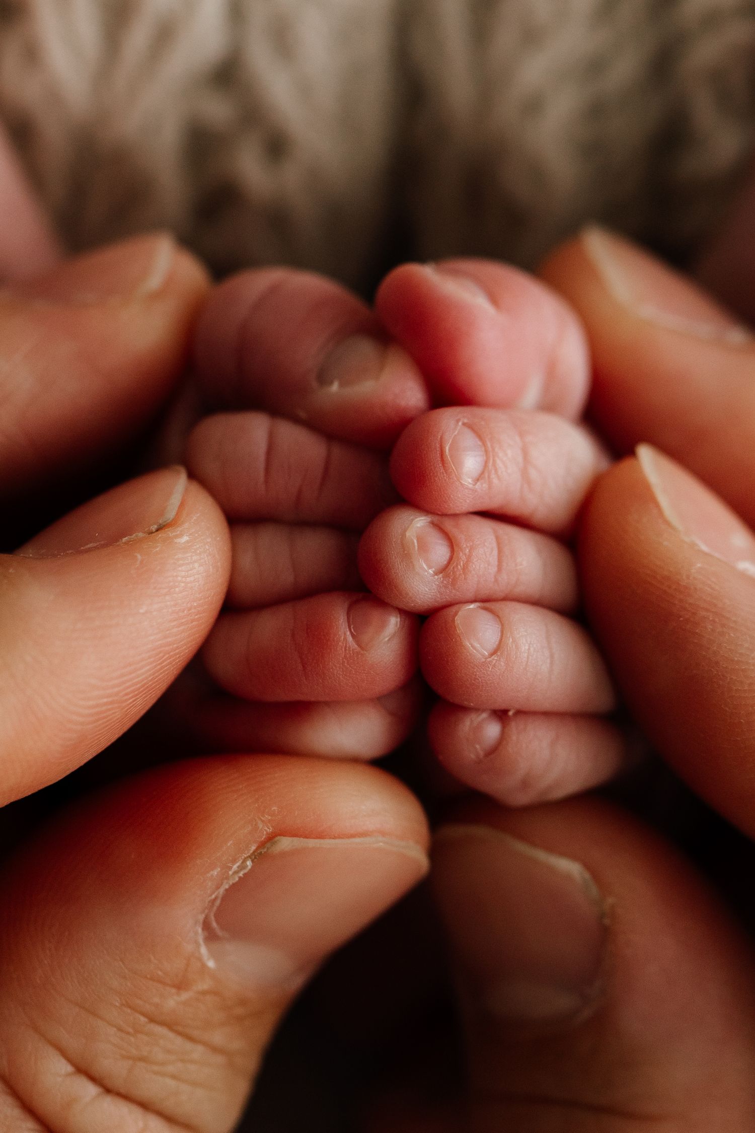 Close-up photo of tiny baby fingers held between adult hands.