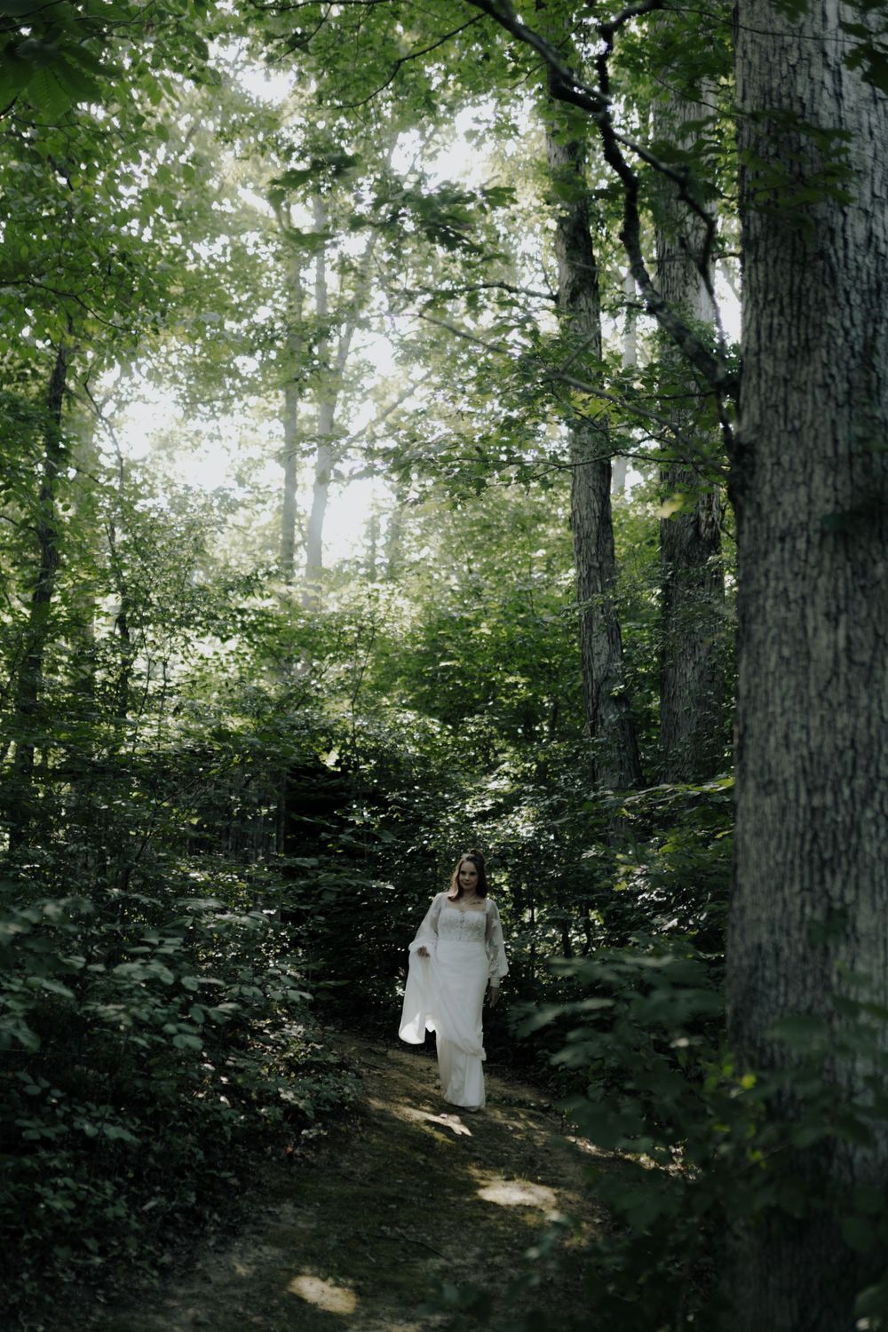 Sunlit forest path with tall trees creating a natural green canopy.