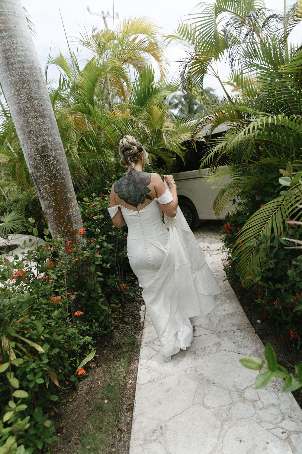 A series of photos showing palm trees and landscaping covered in protective white fabric during cold weather or storms.