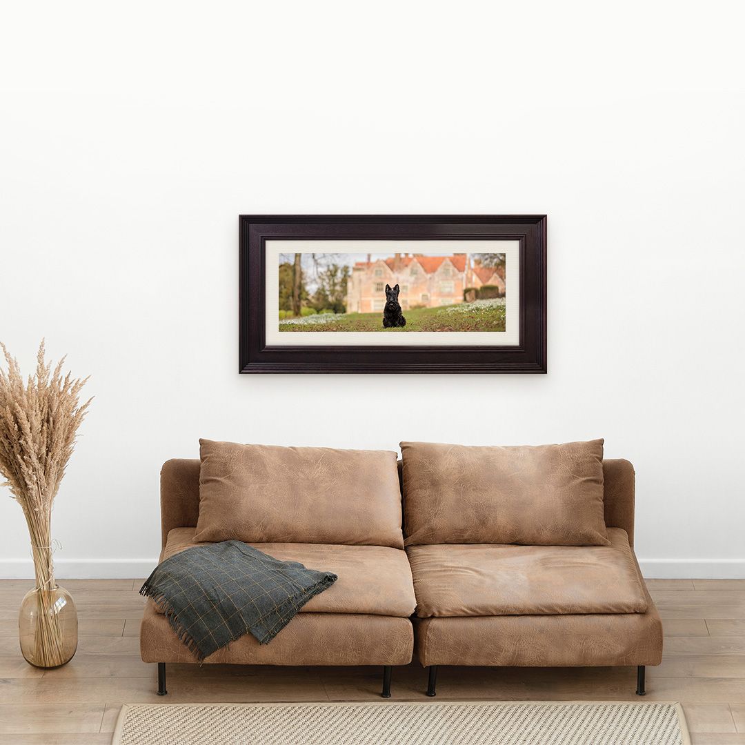 Framed landscape photograph of black dog in garden setting displayed above brown sofa.