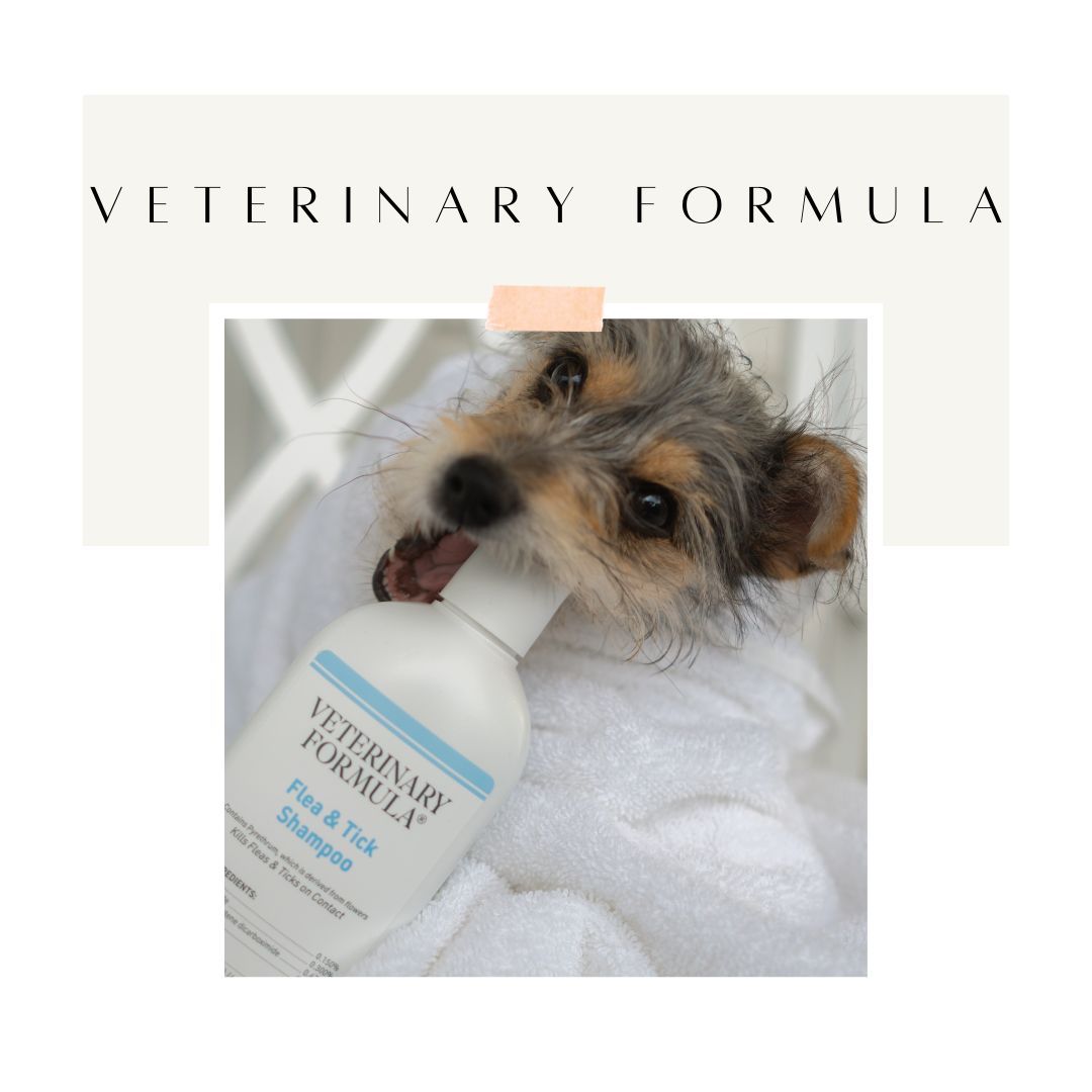 Veterinary Formula Flee and Tick Shampoo