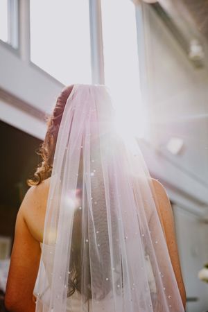 Back view of a sheer wedding veil with sparkling details in natural light.