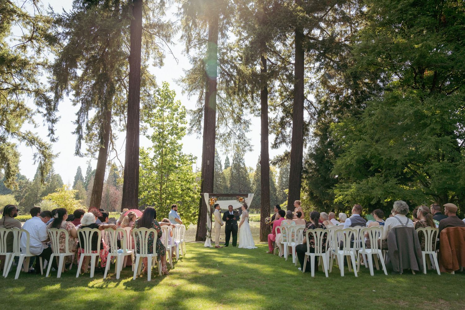 Outdoor forest wedding ceremony with bride and groom brides exchanging vows, surrounded by tall trees and sunlight filtering through.