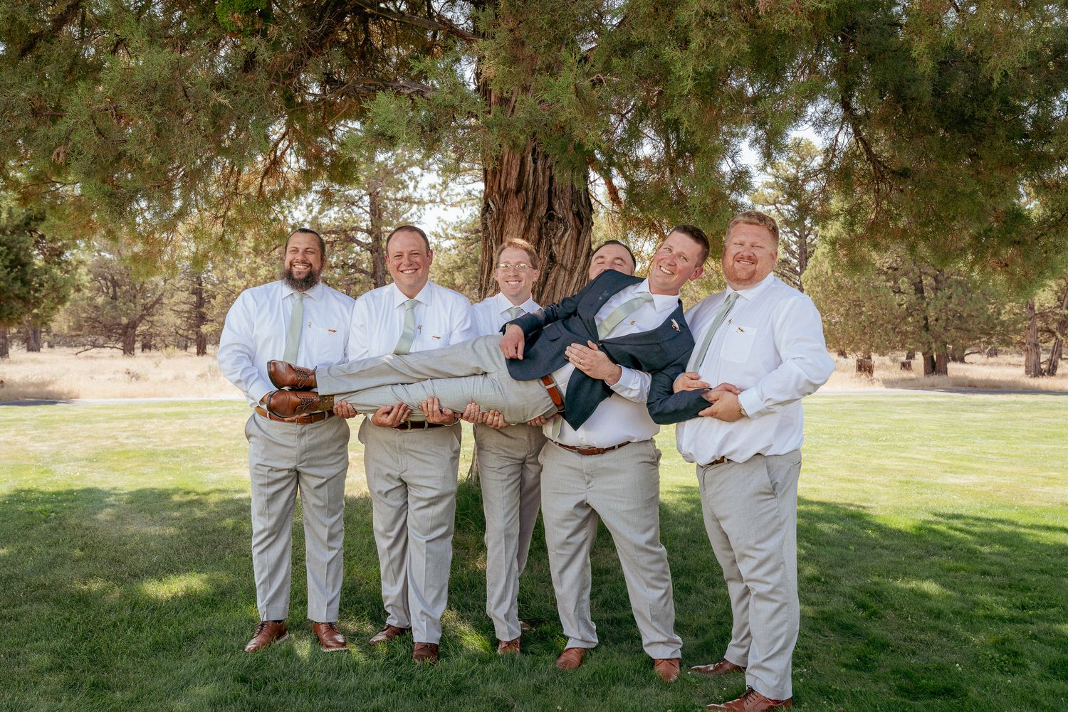 Groom laughing as his groomsmen lift him up during a fun group photo under the trees on a sunny wedding day.