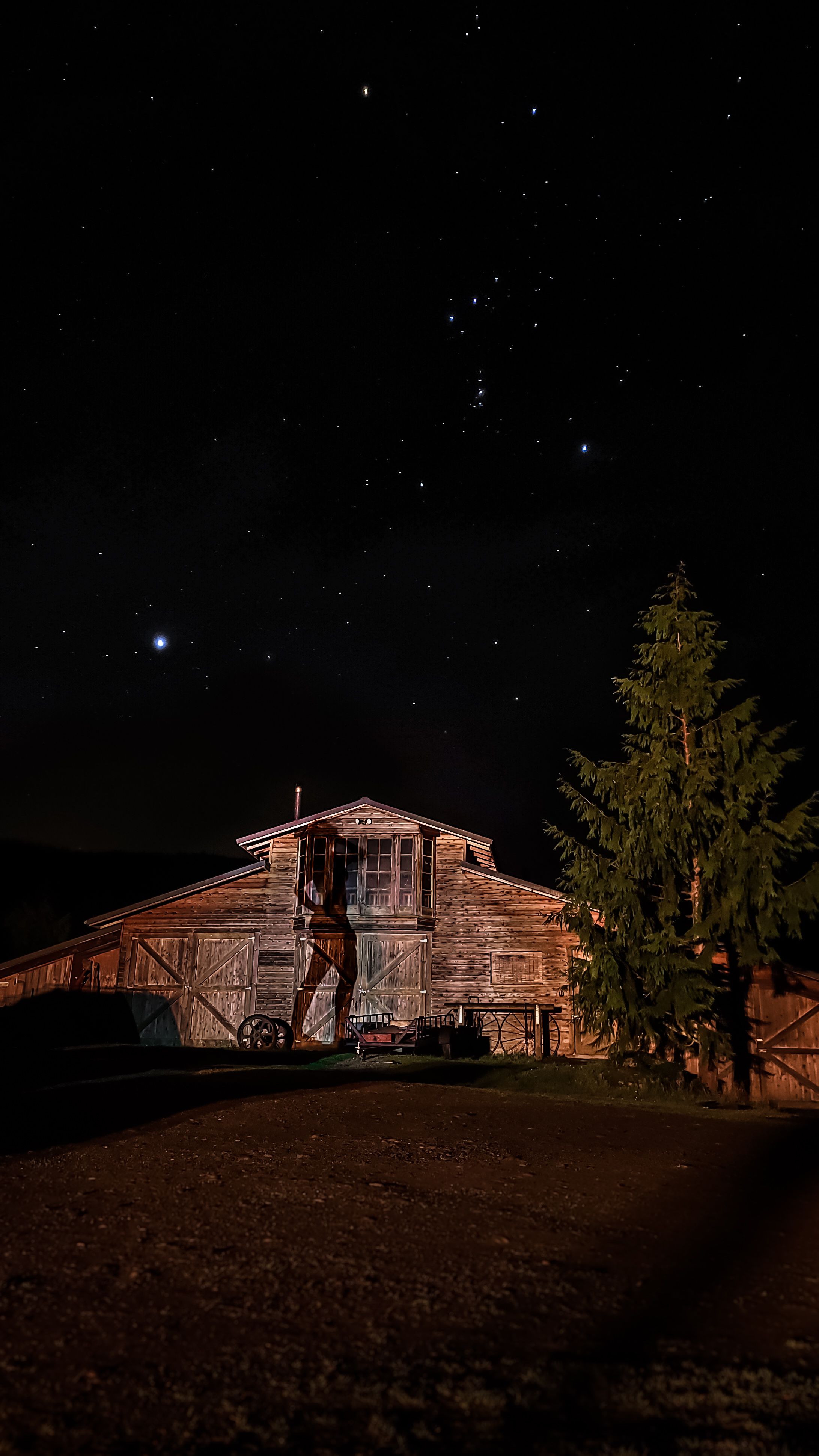 Rustic wooden cabin illuminated under a starry night sky with a tall evergreen tree beside it.