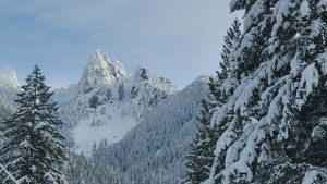 Snow-covered mountain peak rises dramatically above evergreen forest in winter landscape.