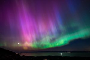 Vibrant purple and green aurora borealis dancing across night sky over dark landscape.