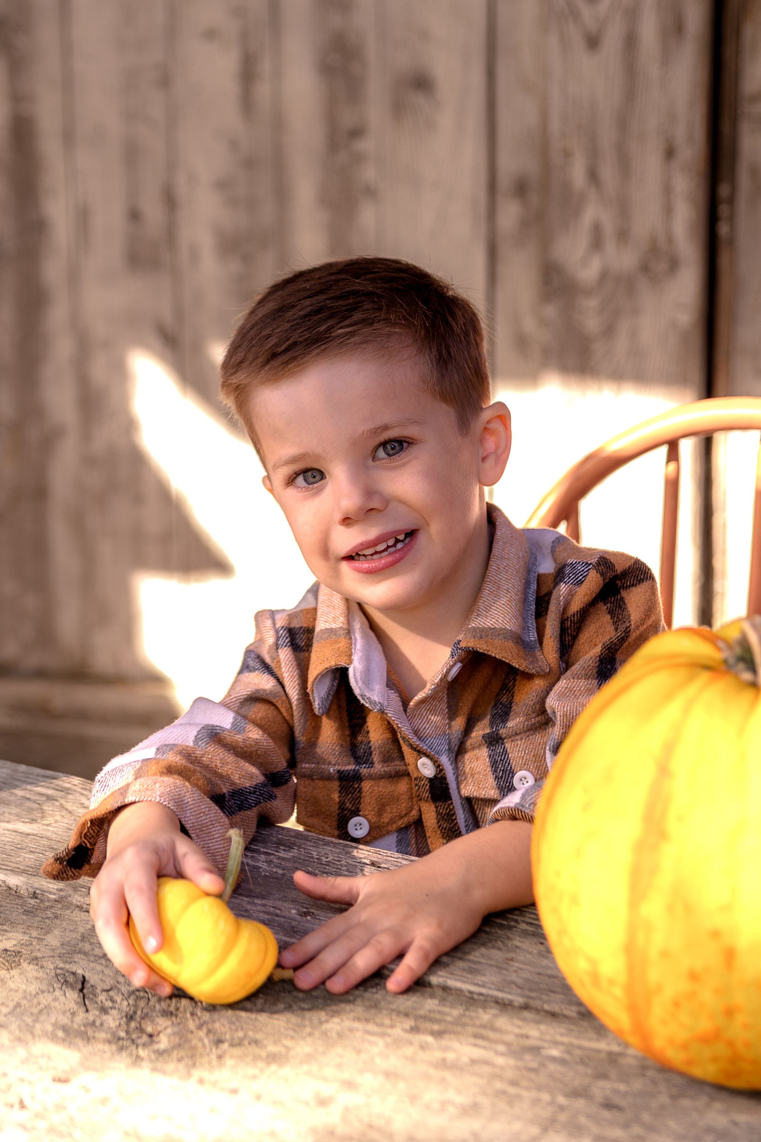 Charming fall photography setup with pumpkins and wooden backdrop in natural lighting.